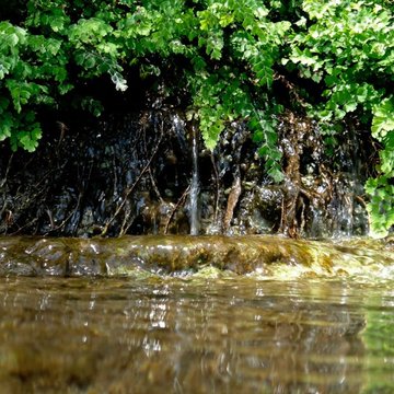 Sabinal River springs, Vanderpool, TX