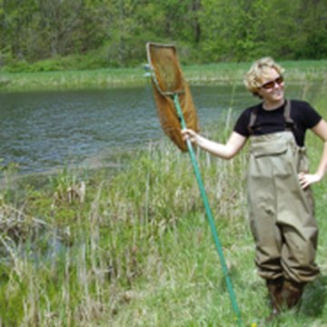 Fieldwork