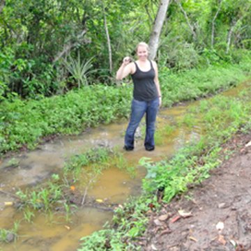 Frog research in Panama