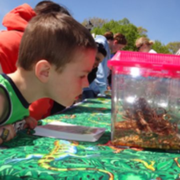 Sharing frogs with local kids