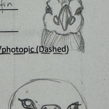 Student sketch