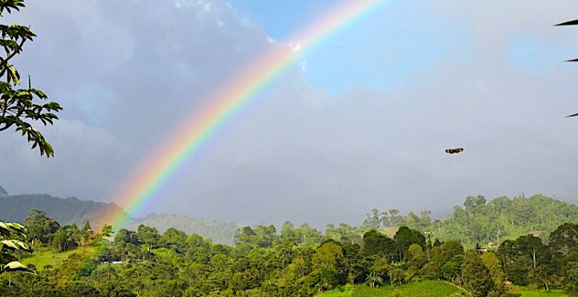 Rainbow over the farm