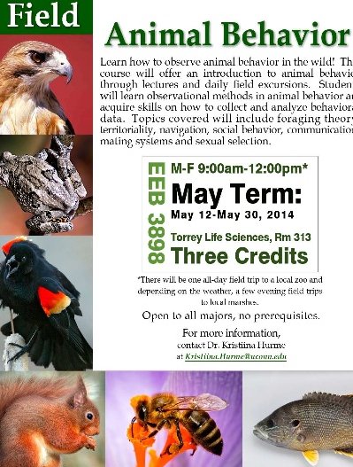 Field Animal Behavior course poster