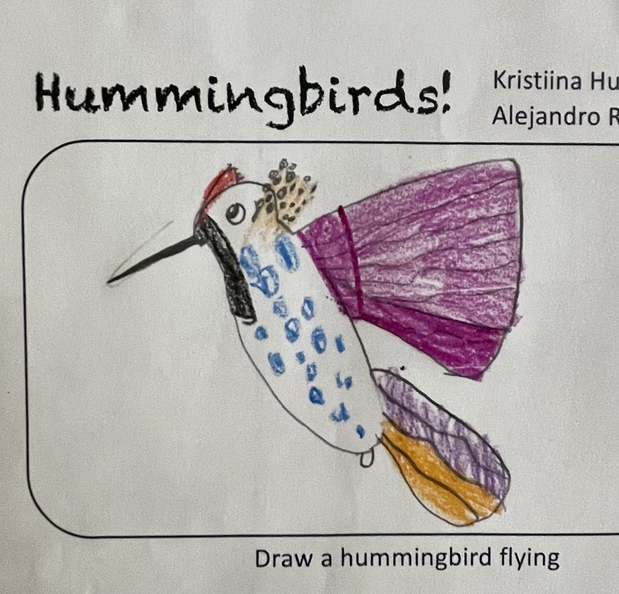 A first grader’s hummingbird drawing from an outreach visit